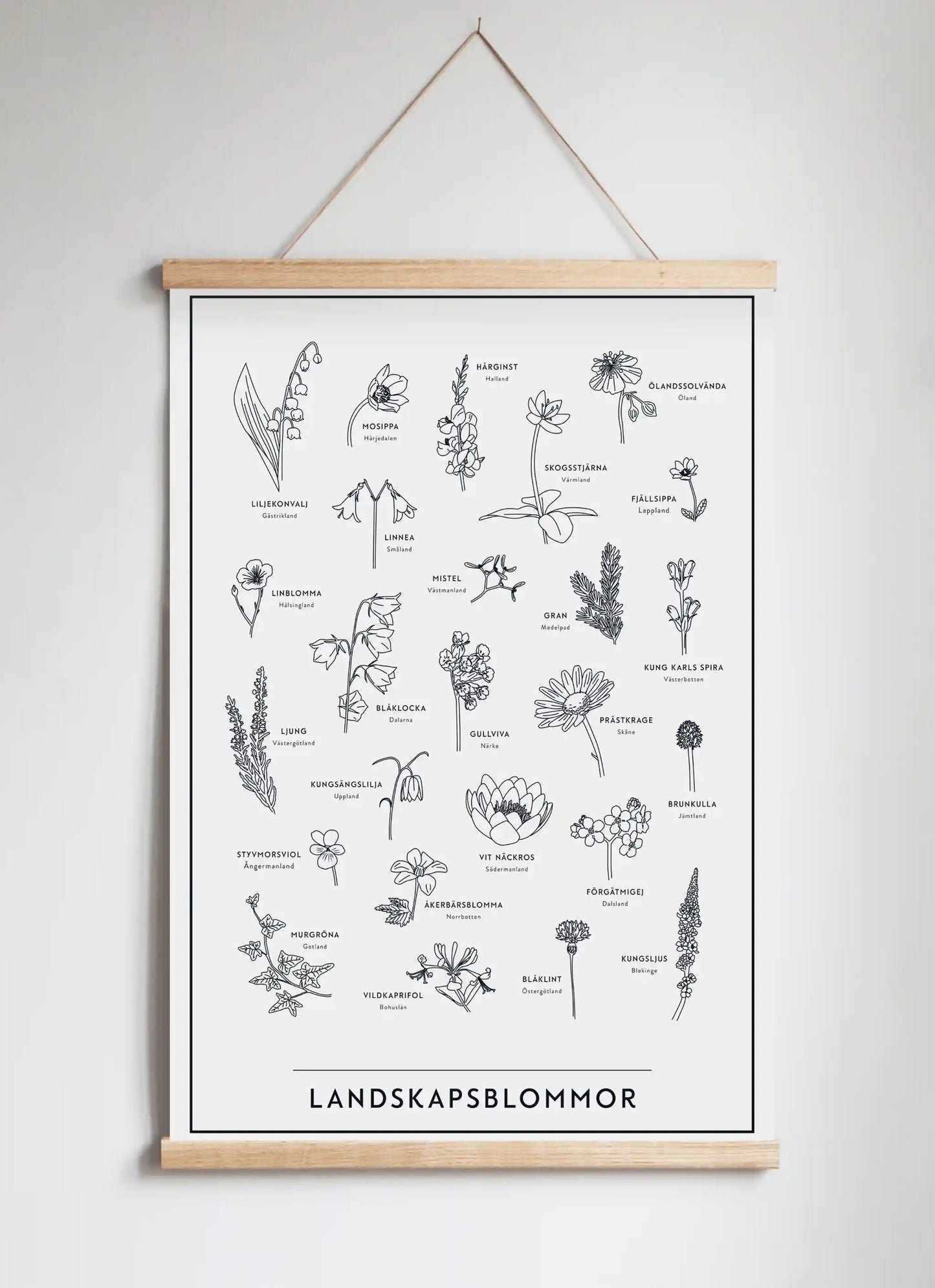Posterhängare i ek