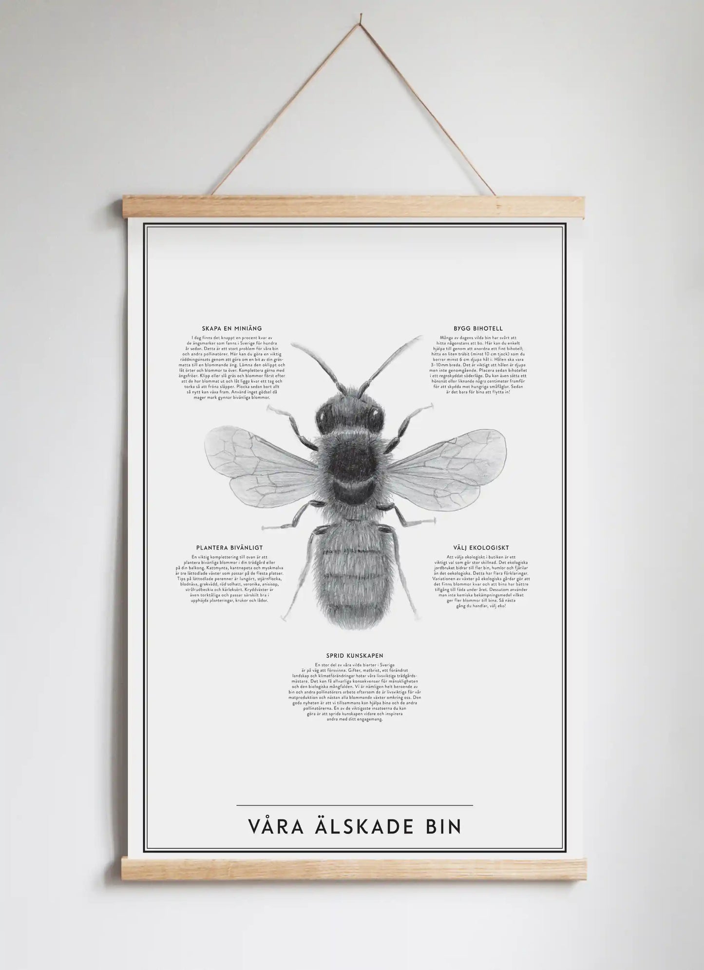 Posterhängare i ek
