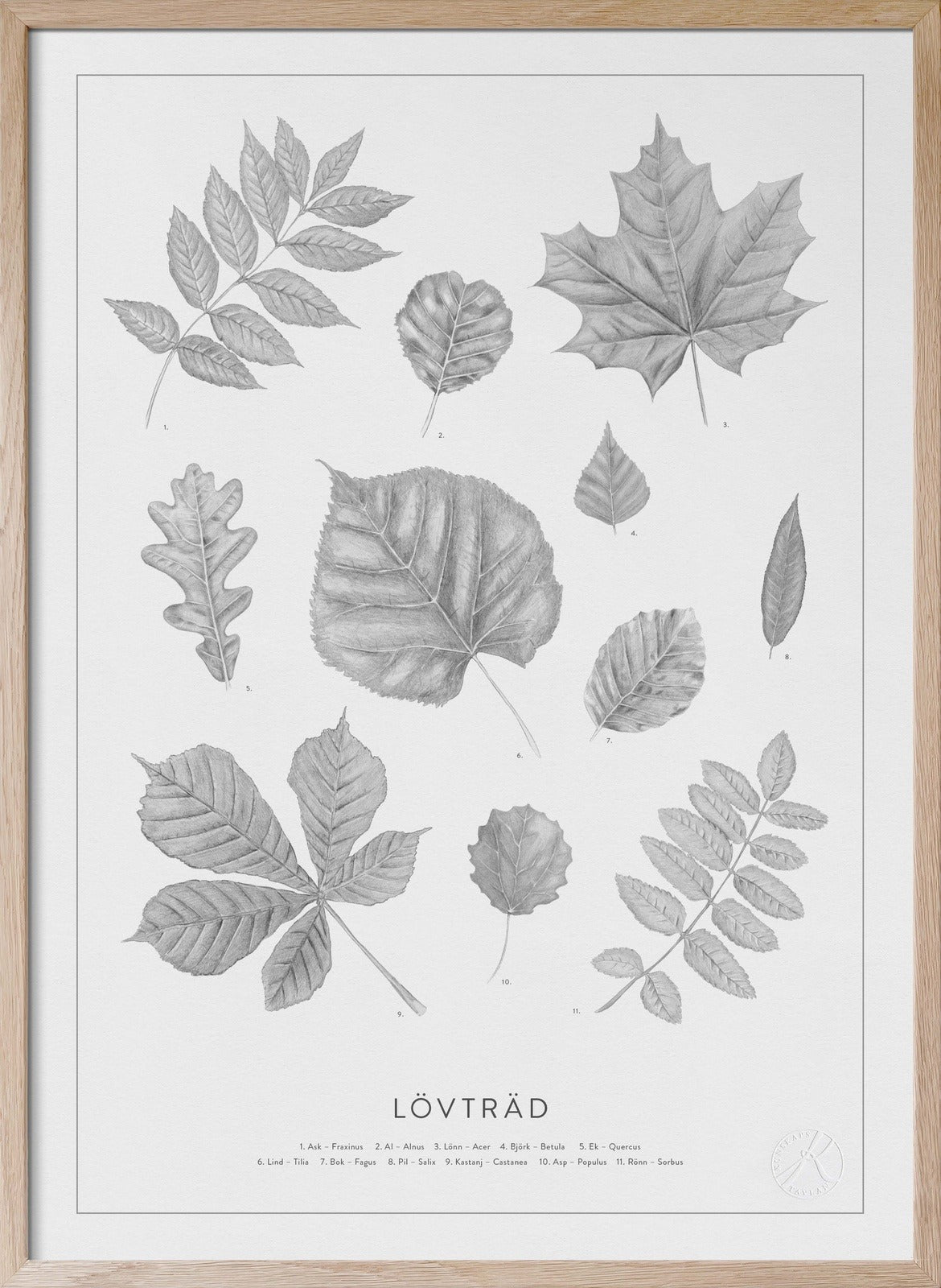 Lövträd blyerts - Lövposter