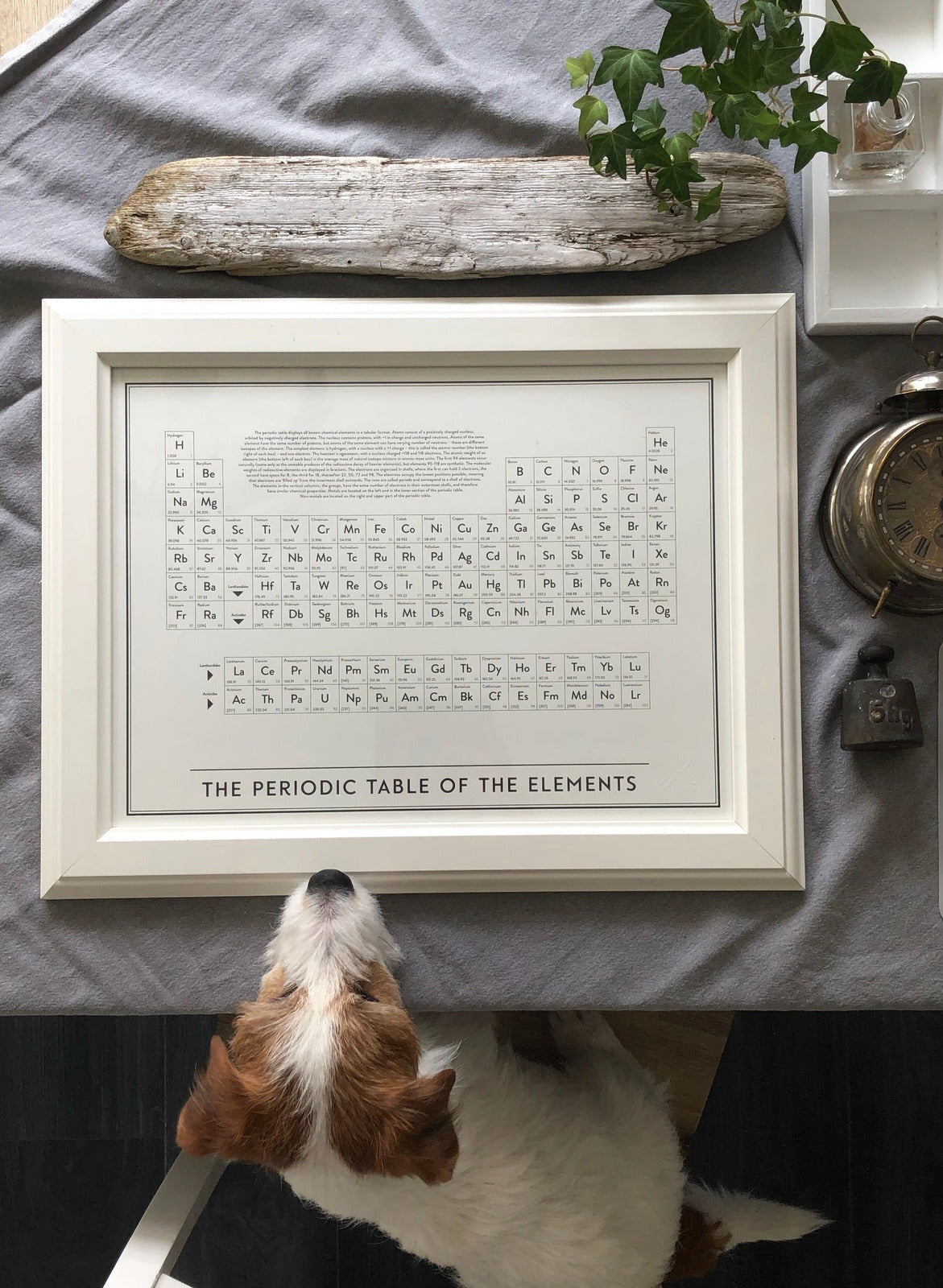 The periodic table of the elements - Poster