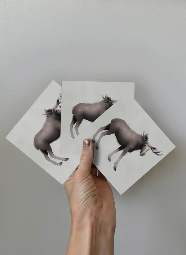 Kort 3-pack - Älgen