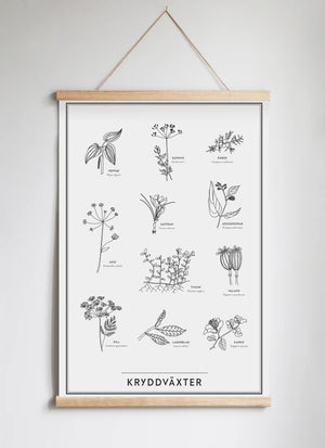 Posterhängare i ek