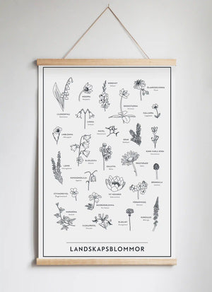 Posterhängare i ek