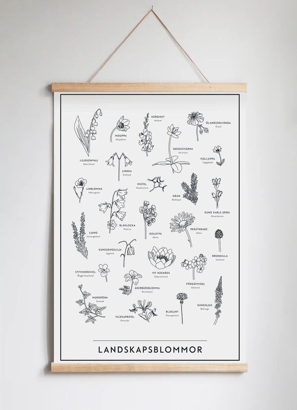 Posterhängare i ek