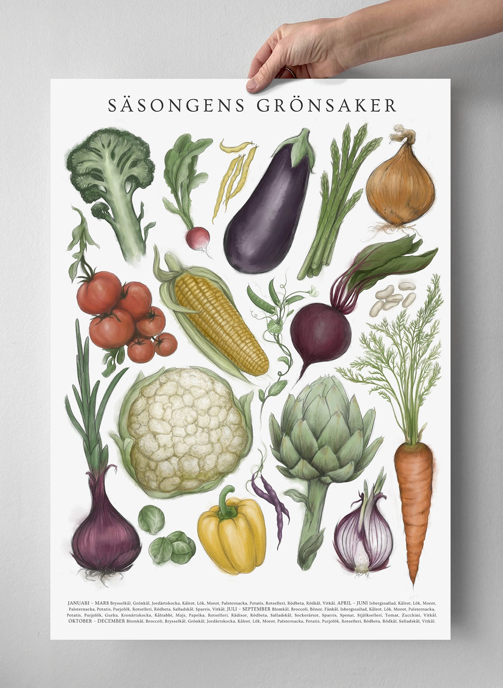 Säsongens grönsaker