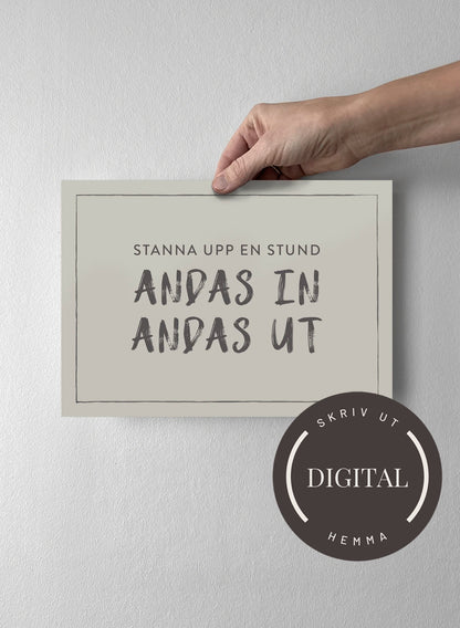 21 x 30 cm - DIGITAL - Skriv ut hemma Pearl Grey