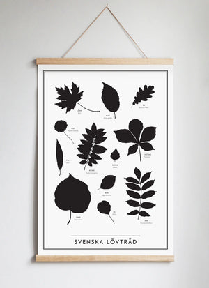 Posterhängare i ek