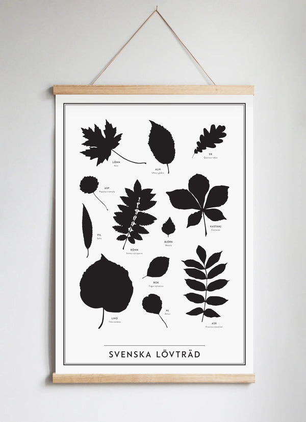 Posterhängare i ek