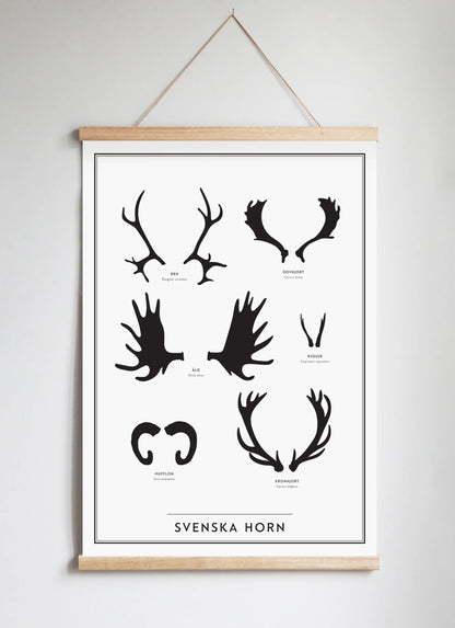 Posterhängare i ek