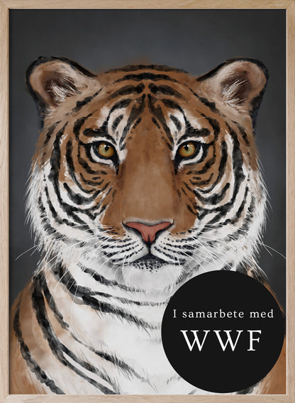 Tigern 🖤 WWF