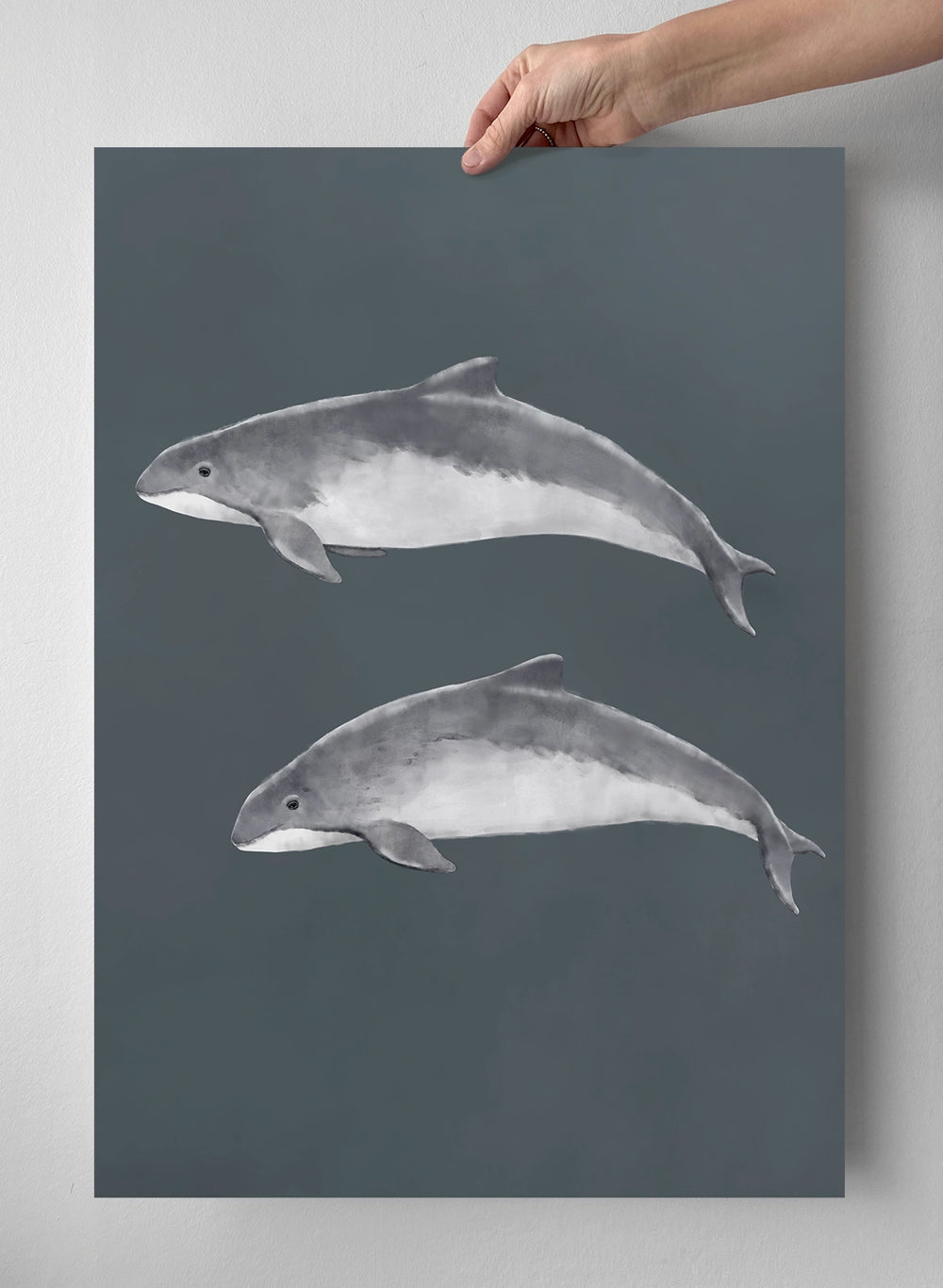 Posterhängare i ek