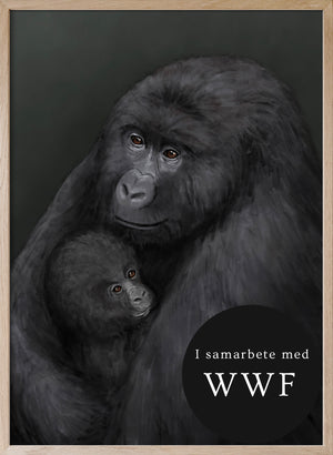 Bergsgorillan