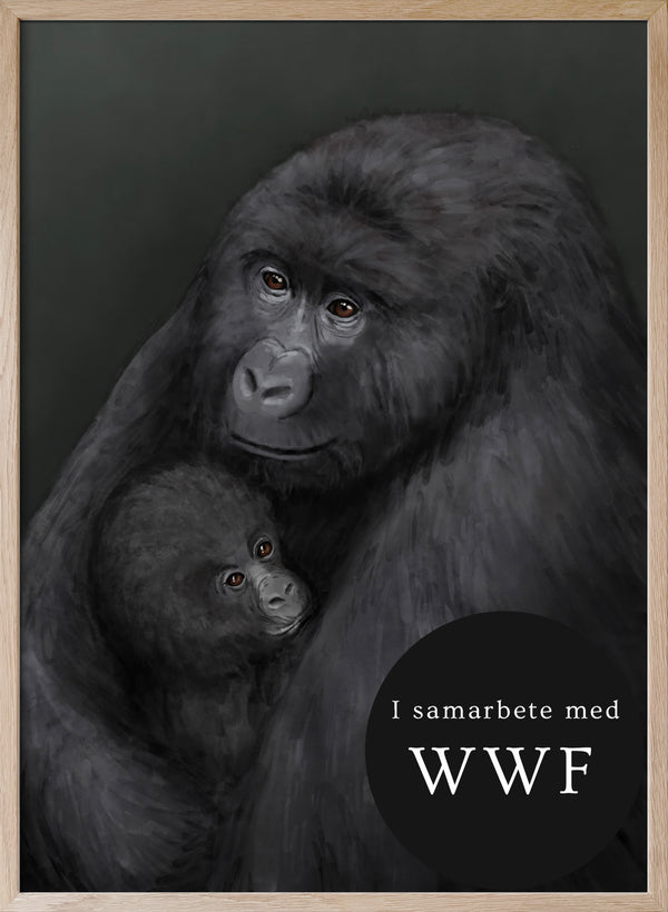 Bergsgorillan