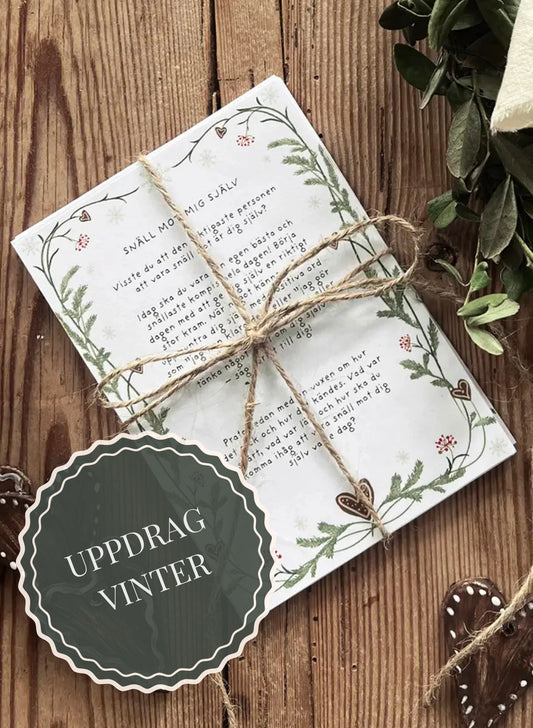 Uppdrag vinter