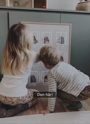 Mina känslor