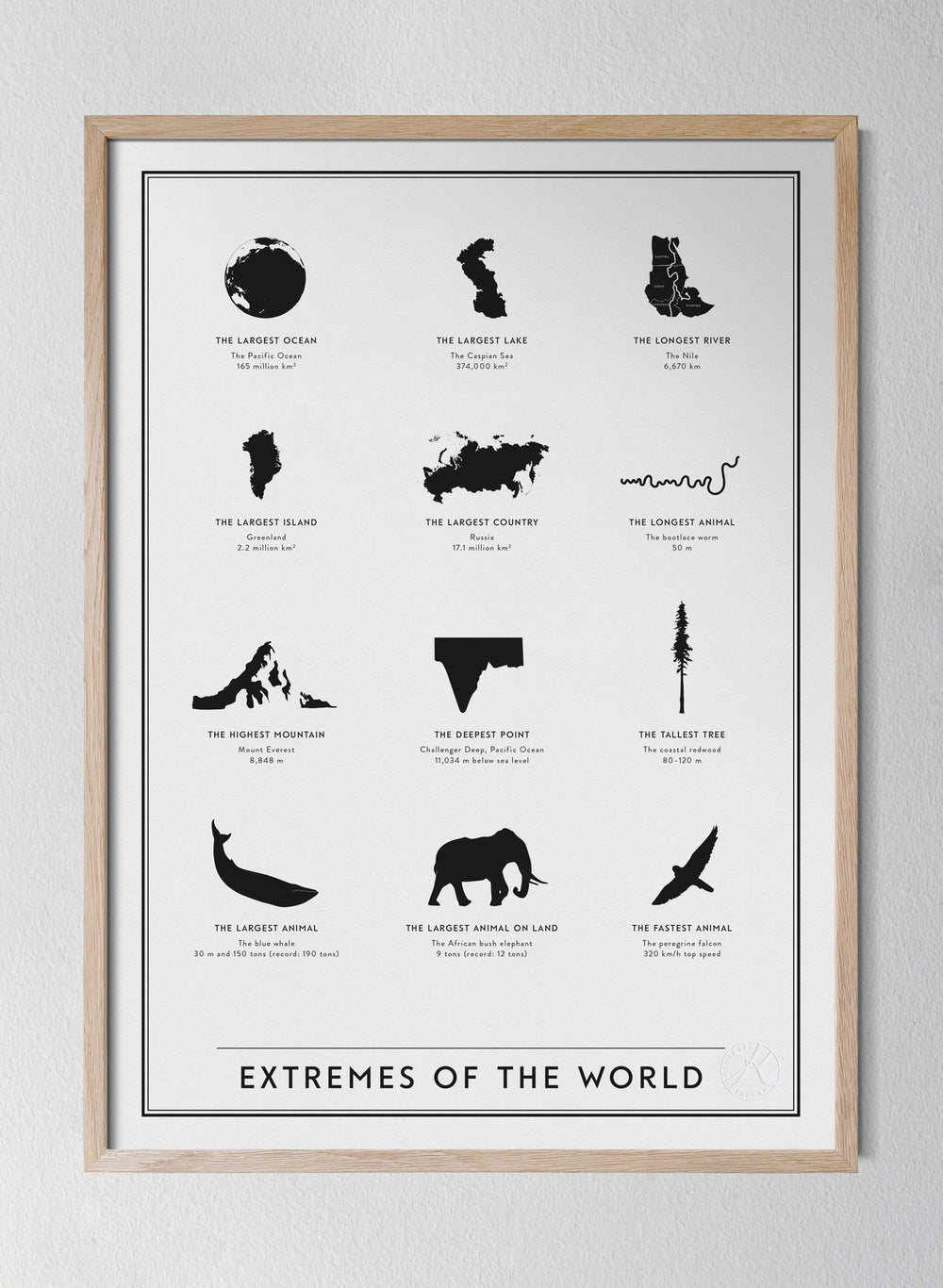 no_frame