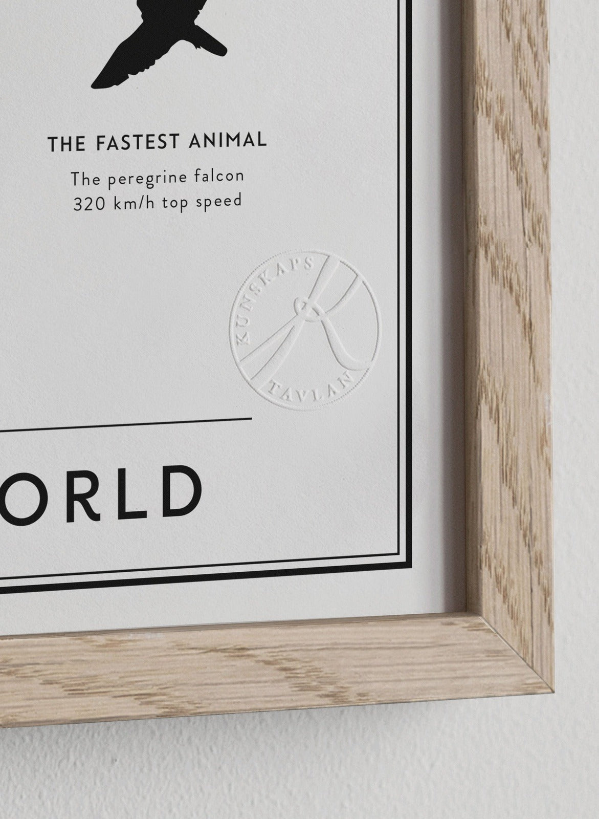 Extremes of the world