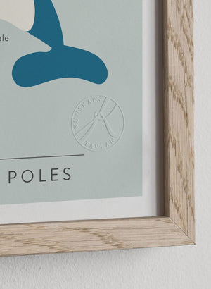 At the north and south poles