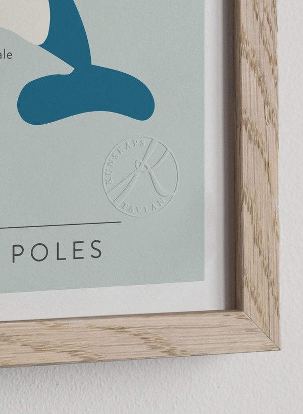 At the north and south poles