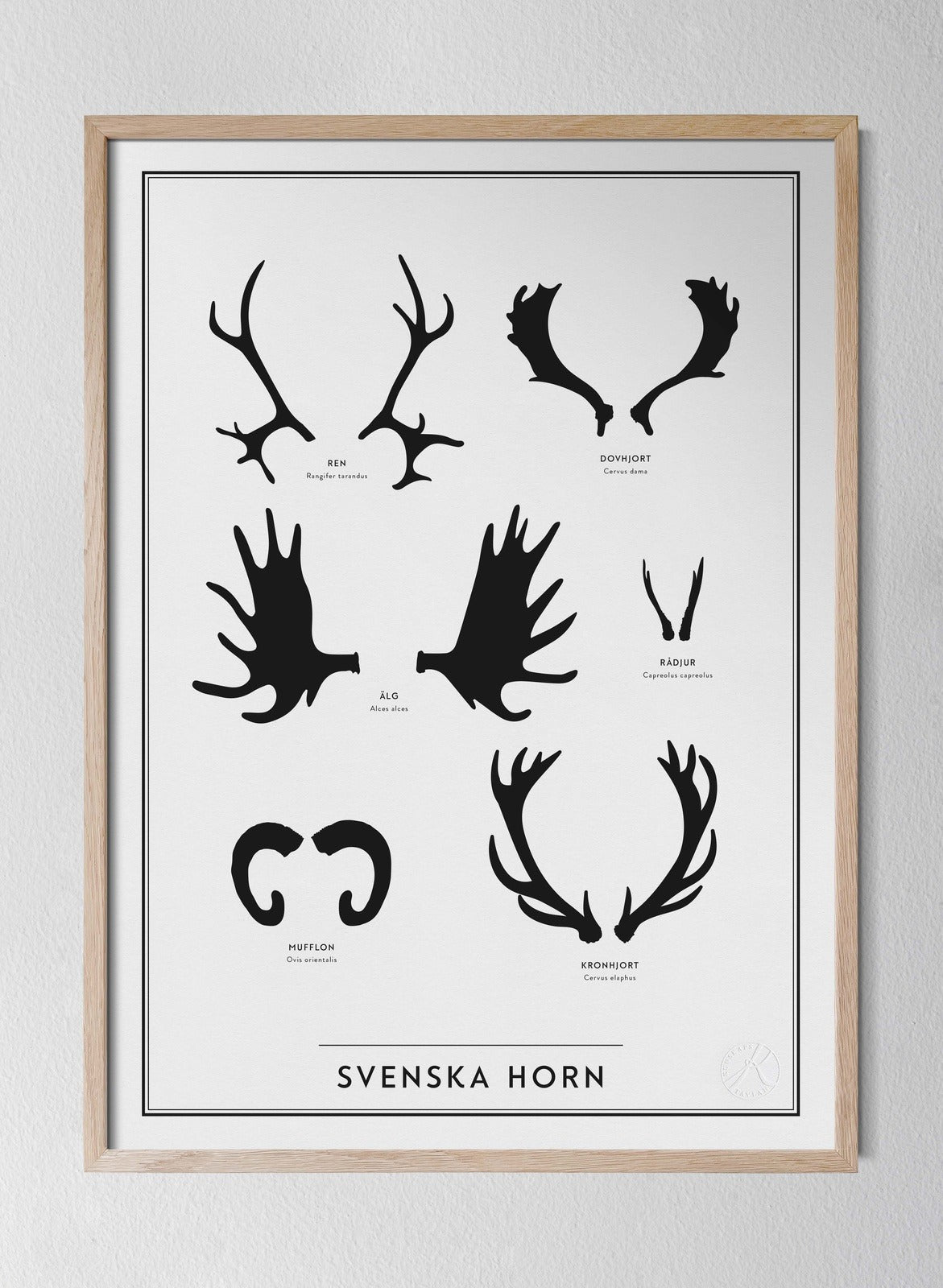 Svenska Horn