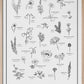 Landskapsblommor - Print