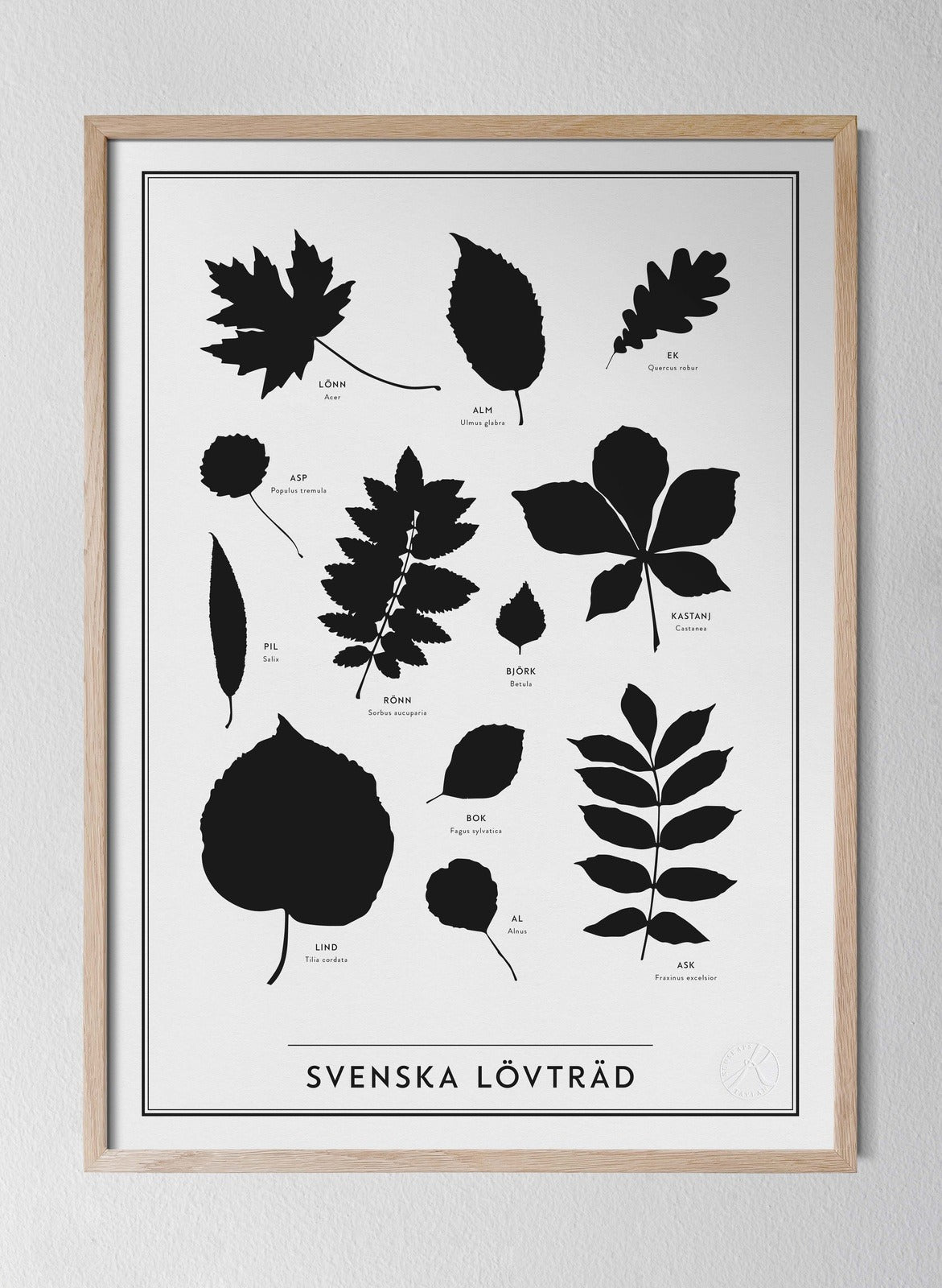 Svenska Lövträd  - Poster
