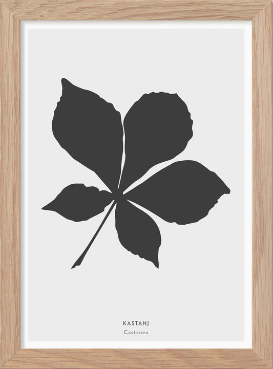 Kastanjelöv - Mini print A5 - Kunskapstavlan