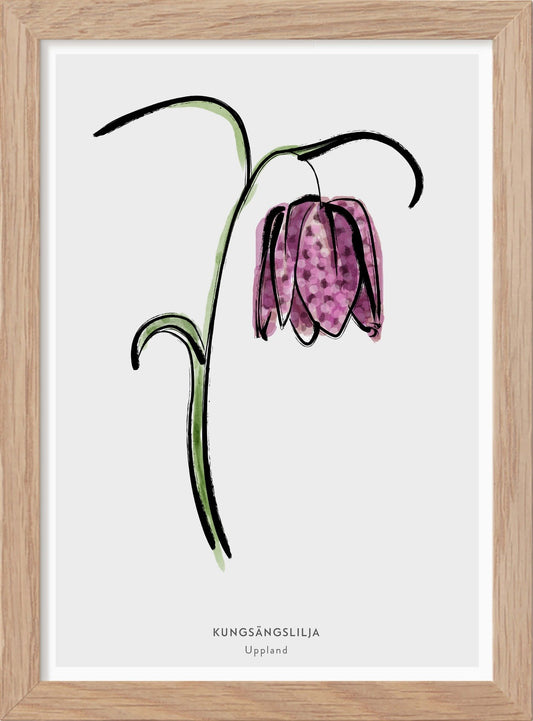 Upplands landskapsblomma - Kungsängslilja - Mini print A5 - Kunskapstavlan