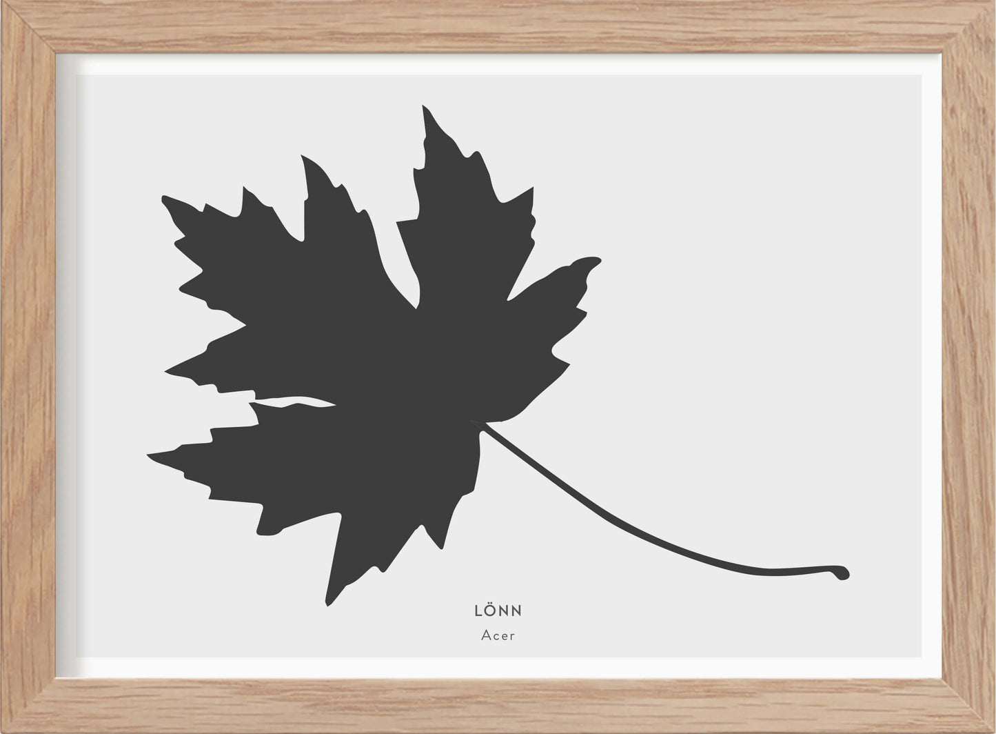 Lönnlöv - Mini print A5 - Kunskapstavlan