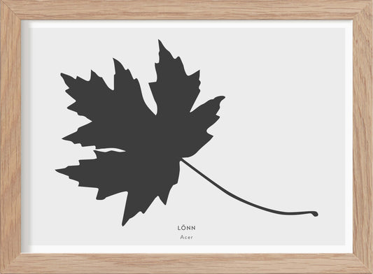 Lönnlöv - Mini print A5 - Kunskapstavlan