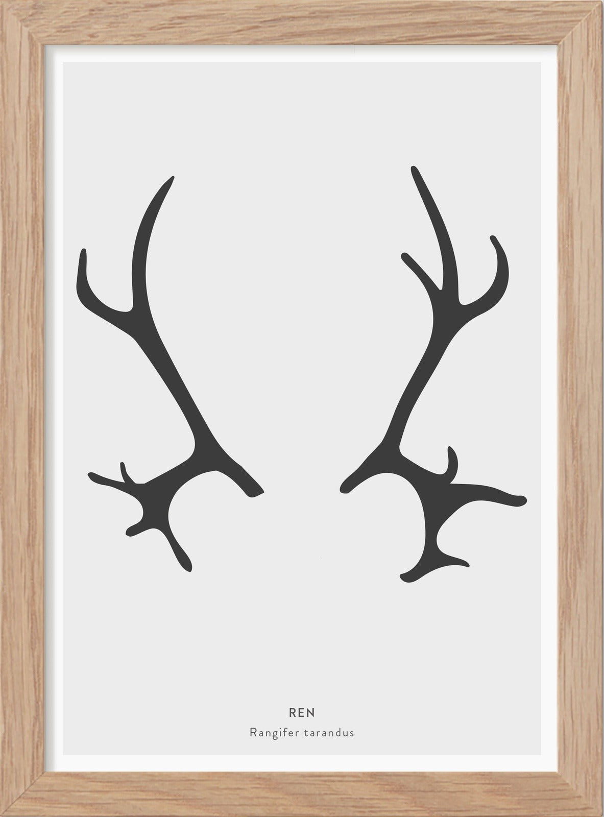 Renhorn - Mini print A5 - Kunskapstavlan