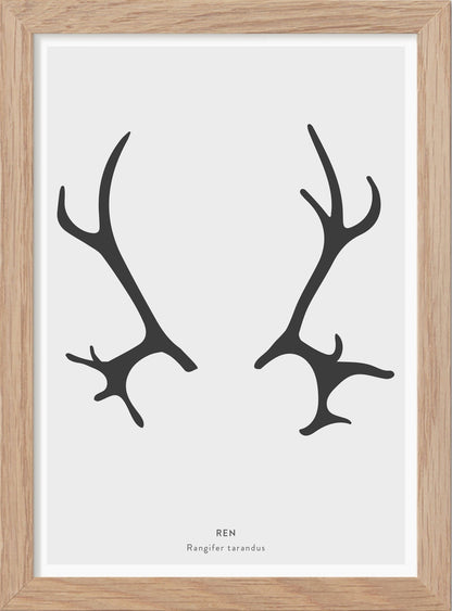 Renhorn - Mini print A5 - Kunskapstavlan