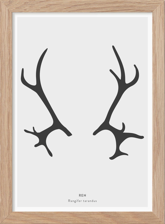 Renhorn - Mini print A5 - Kunskapstavlan