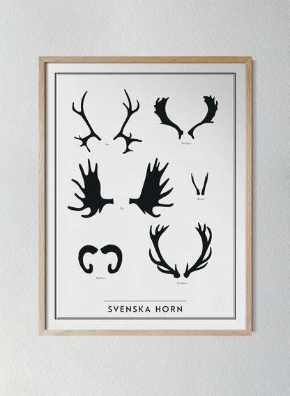 Svenska Horn