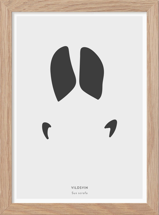 Vildsvinsspår - Mini print A5 - Kunskapstavlan
