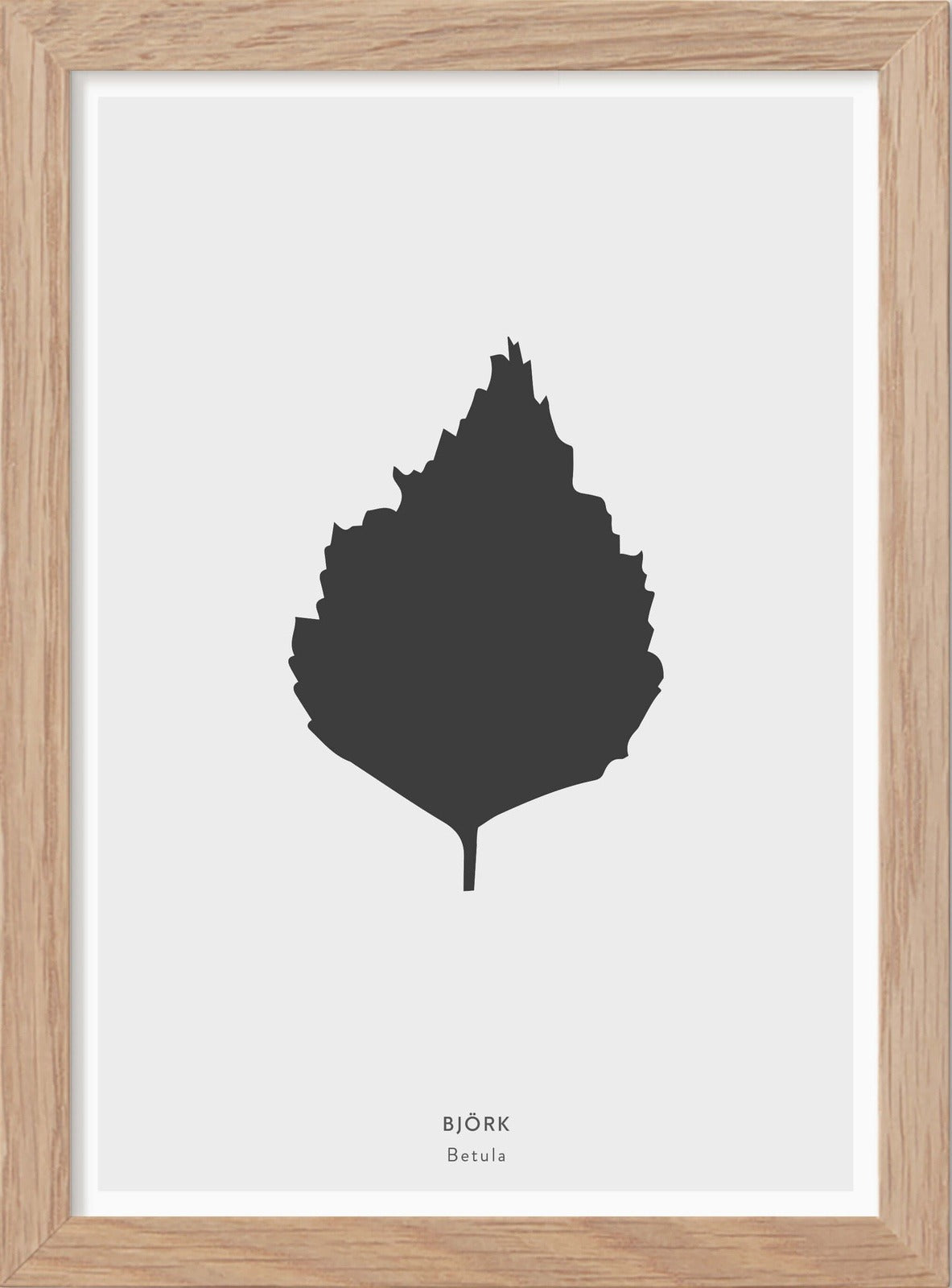 Björklöv - Mini print A5 - Kunskapstavlan