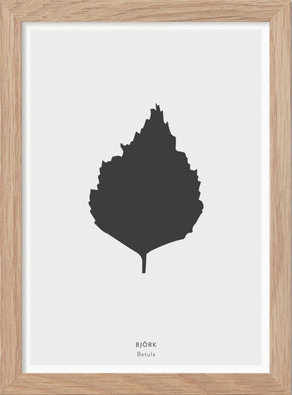 Björklöv - Mini print A5 - Kunskapstavlan