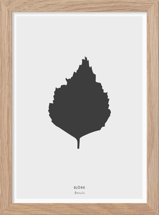 Björklöv - Mini print A5 - Kunskapstavlan