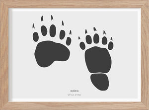 Björnspår - Mini print A5 - Kunskapstavlan