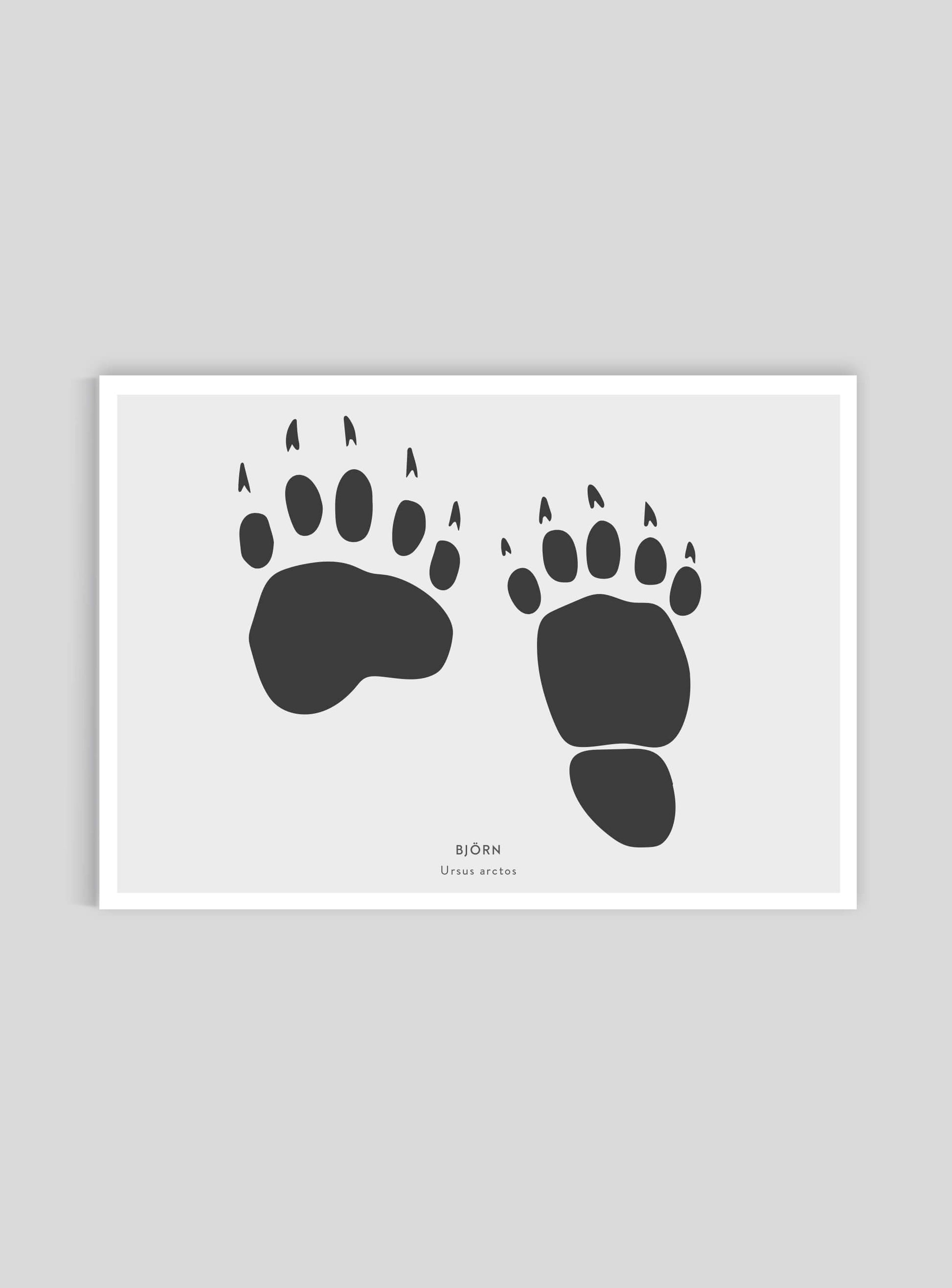 Björnspår - Mini print A5 - Kunskapstavlan