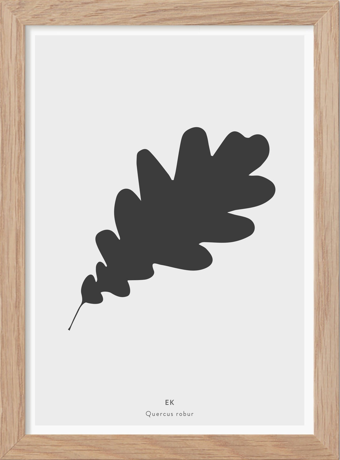 Eklöv - Mini print A5 - Kunskapstavlan