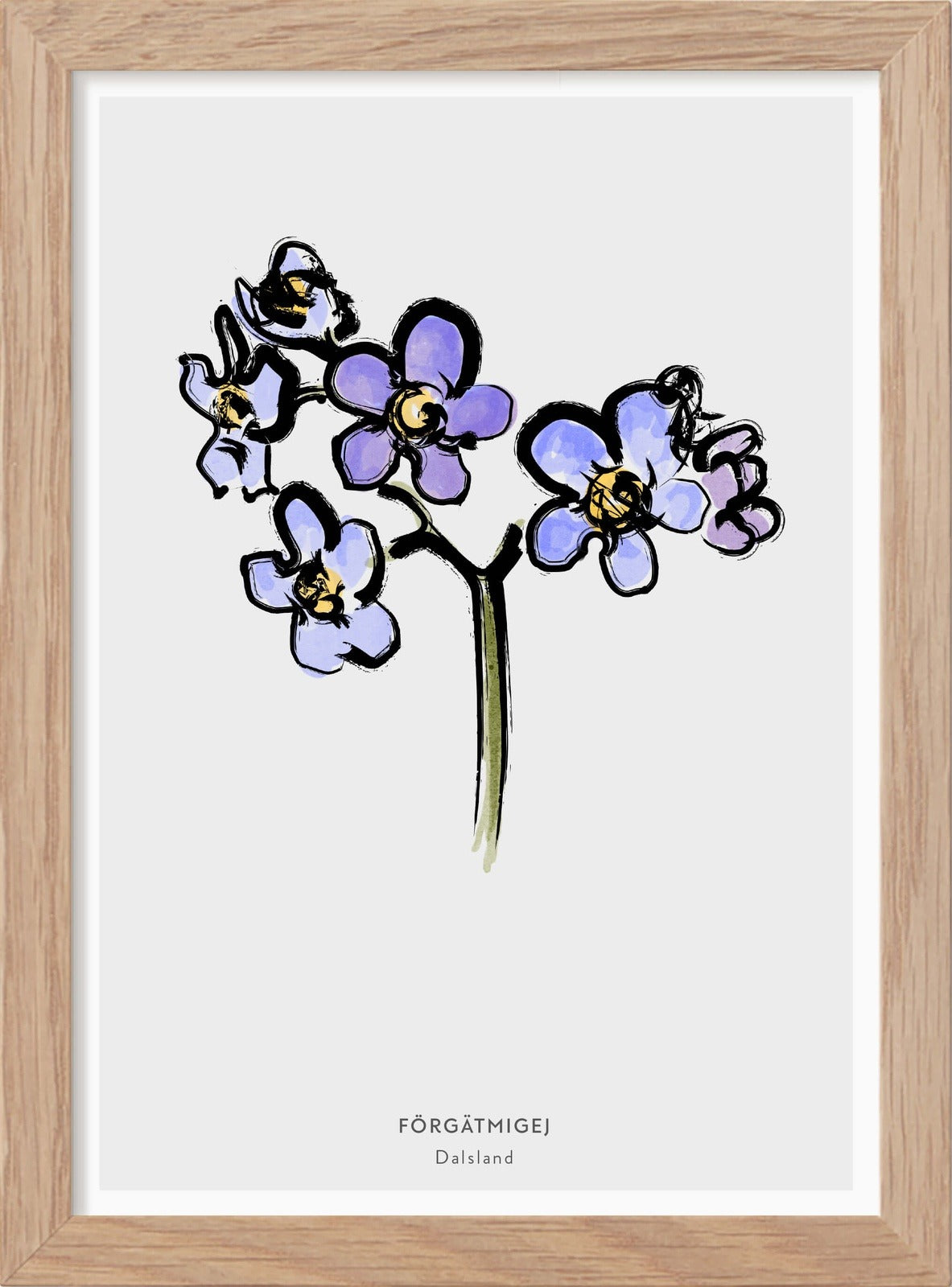 Dalslands landskapsblomma - Förgätmigej - Mini print A5 - Kunskapstavlan