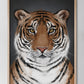 Tigern - I samarbete med WWF - Poster